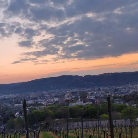 Center & Stadthaus, Zentrum Trier