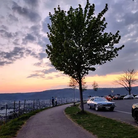 Center & Stadthaus, Zentrum * Trier