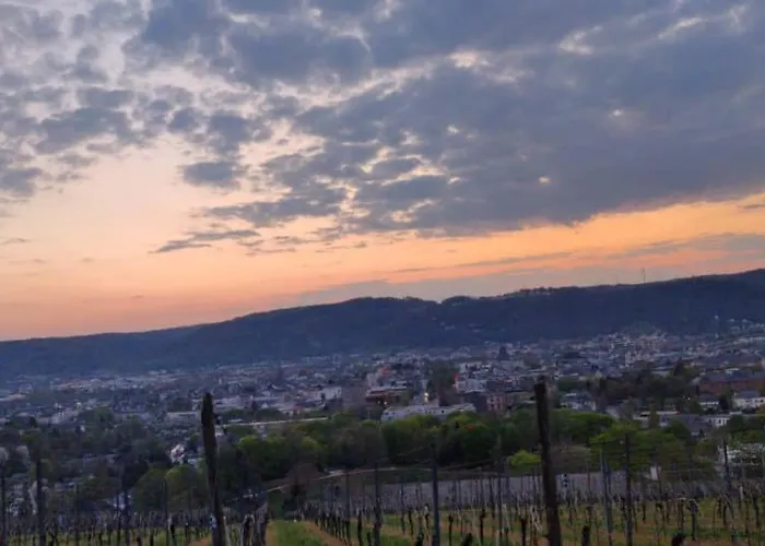 Center & Stadthaus, Zentrum Trier