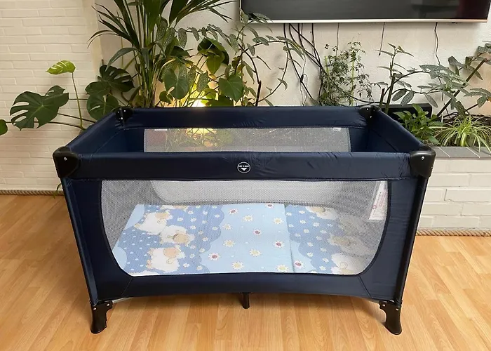 Apartman Center & Stadthaus, Zentrum Trier